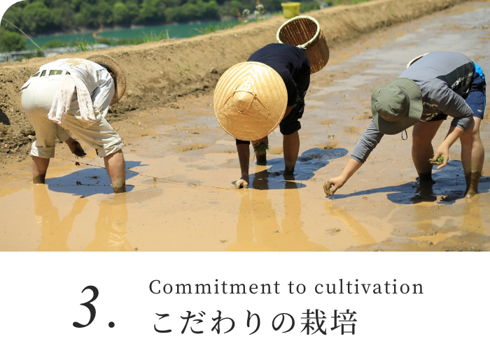 Commitment to cultivation こだわりの栽培