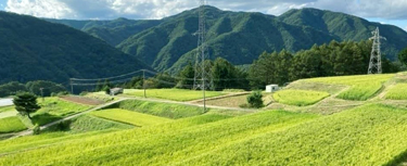 むらづくりの取り組み