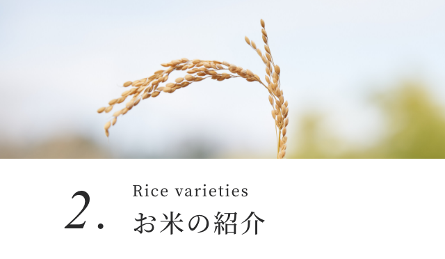 Rice varieties お米の紹介