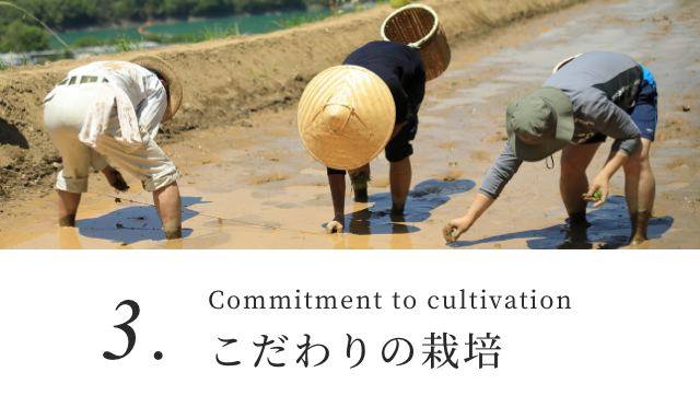 Commitment to cultivation こだわりの栽培