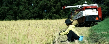 rice farmこだわりの栽培