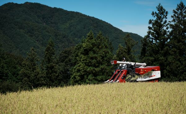 長野県伊那市長谷の棚田